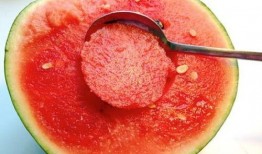 打火机免费吃瓜,畅享夏日清凉瓜果盛宴